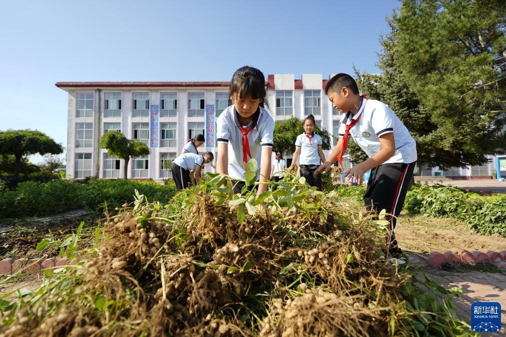 集结号捕鱼每日回血